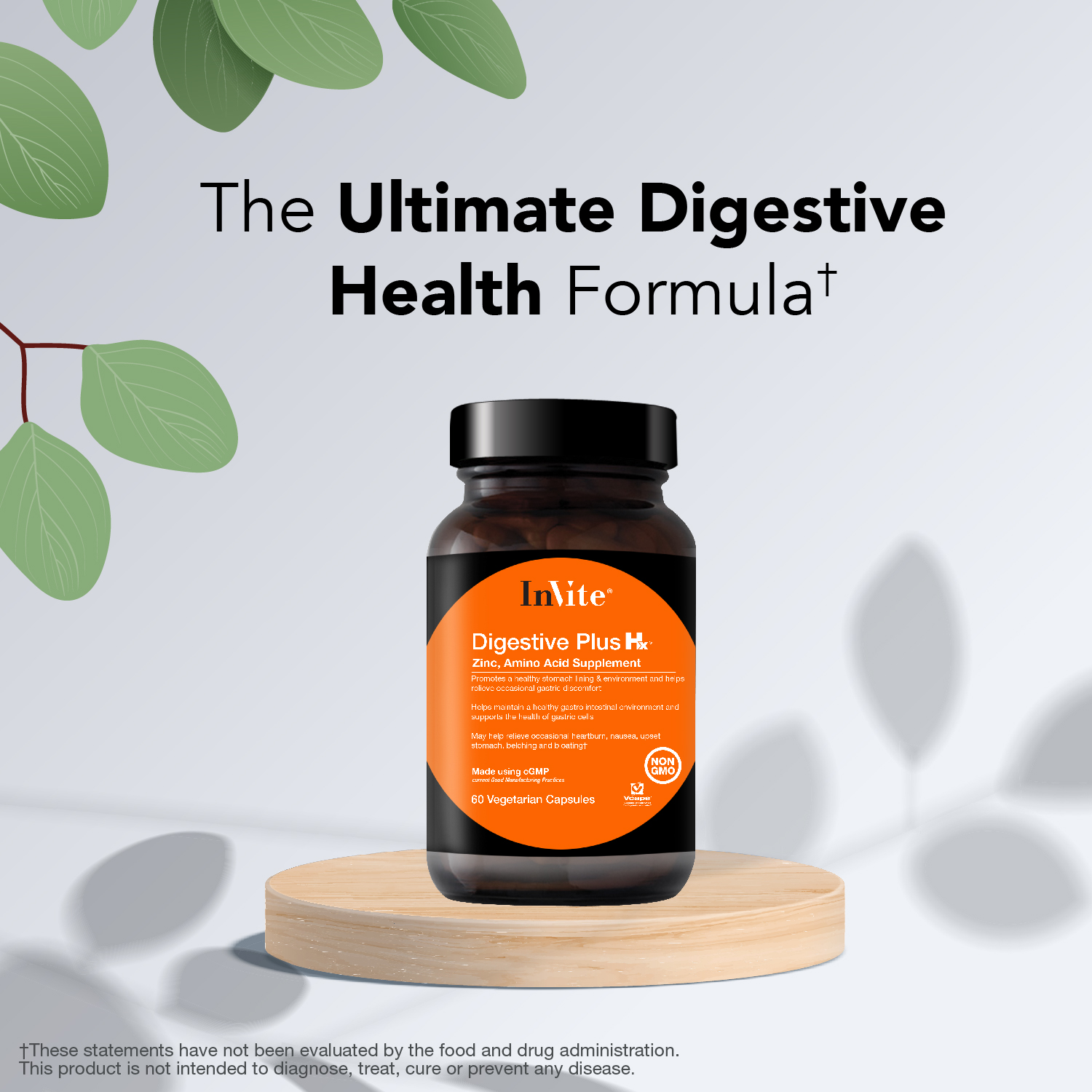 InVite Health Digestive Plus Hx, Supports Digestive Health, 60