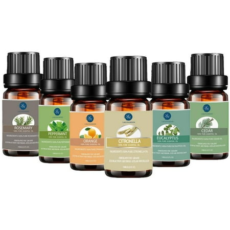 Peppermint Message Oil Lagunamoon Essential Oils Gift Set For Relaxation & Massage, Top 6 Premium Therapeutic Aromatherapy Oil Kit,10ML Eucalyptus Peppermint Rosemary Cedarwood Sweet Orange Citronella Fragrance ()