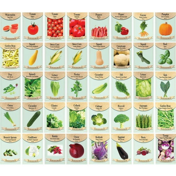 Set of 40 Heirloom Vegetable Garden Seeds - Heirloom Vegetable Garden Seeds - 100% Non-GMO! - May Be Assorted