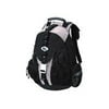 Targus Sport Deluxe Computer - Notebook carrying backpack - black, platinum
