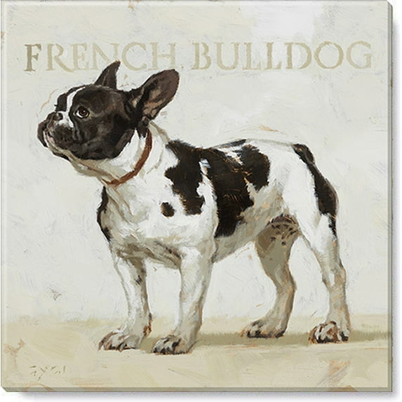 Sullivans Darren Gygi French Bulldog Canvas, Museum Quality Giclee Print, Gallery Wrapped, Handcrafted in USA 9"W x 9"L Multicolored
