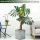 thumbnail image 5 of Poste de musgo flexible de 48 pulgadas DENGXMXG para plantas trepadoras de interior 2 piezas, 5 of 5