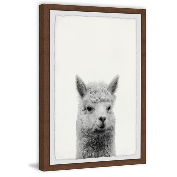 Gen X Llama Framed Painting Print
