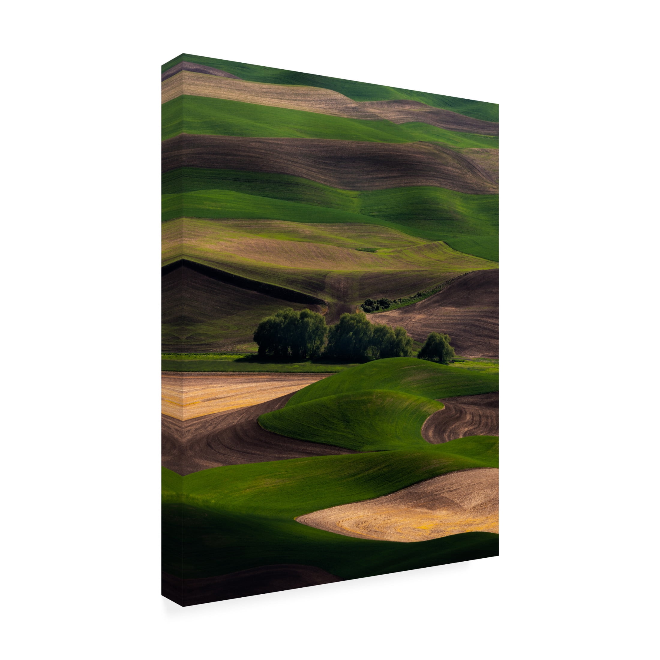 Canvas Wall Art - Ron Langager 'Rolling Dreams' Wall Art for Living Room, Bedroom, or Office Décor by Trademark Fine Art - 18 x 24 Inches