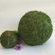 thumbnail image 2 of piezas por paquete (9 cm) bola de musgo bola de hierba de musgo bola de flores secas, 2 of 5