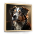 thumbnail image 2 of Designart "Serene Saint Bernard" Animals Dog Floater Framed Canvas Art Print, 2 of 5