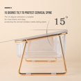 thumbnail image 2 of Cuencos para gatos Elevated Tronssien inclinados 15° con soporte de hierro, 2 of 7