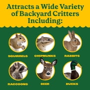 Pennington Classics Squirrel & Critter Blend Wildlife Food, 10 Pounds