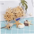 thumbnail image 1 of estrellas de mar, conchas marinas, artesanías naturales de playa, estrellas de mar Diy, decoración de bodas en la playa, artesanías de resina epoxi, 1-5cm, 1 pieza, 1 of 2