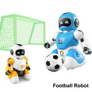 RC Soccer Robots