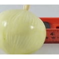 thumbnail image 2 of Vasefill 6-Pack Artificial Onion White Decorative Onions Vegetable Fruit Cebolla, 2 of 2