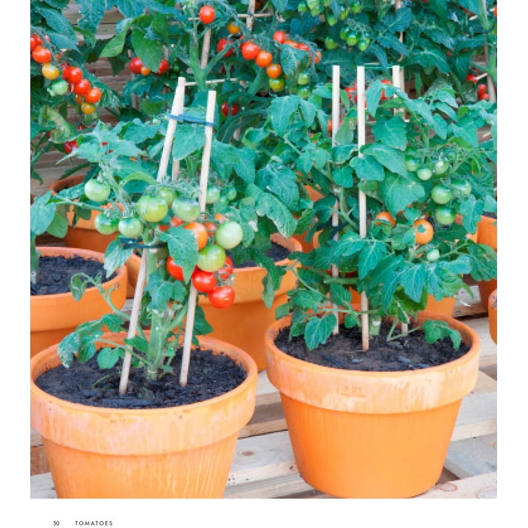 The Best Fruits to Grow in Containers - FineGardening