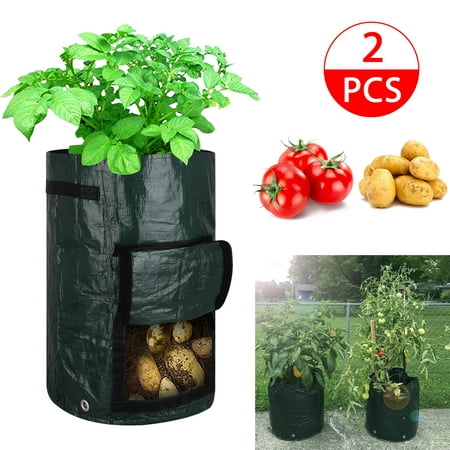 2Pack 10 Gallon Garden Potato Grow Bags,Vegetables Plant Growing Bags,Durable Planter Bags,Upgraded PE Aeration Pots with Portable Access Flap& Handles,for Potato Tomato Carrot (Best Pots For Growing Tomatoes)