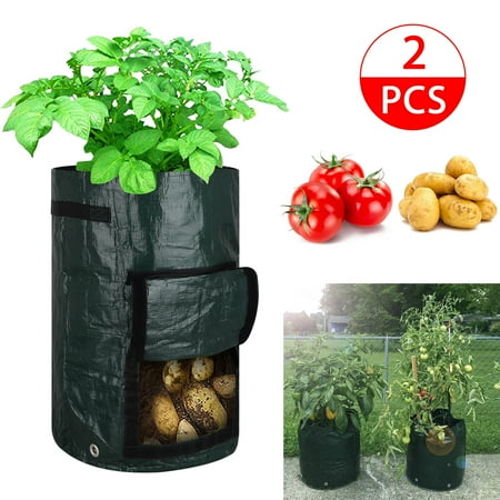 2pack 10 Gallon Garden Potato Grow Bags Vegetables Plant Growing Durable Planter Upgraded Pe Aeration Pots With Portable Access Flap 2pack 10 Gallon Garden Potato Grow Bags Vegetables Plant Growing Durable Planter Upgraded Pe Aeration Pots With Portable Access Flap