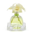thumbnail image 5 of AGRARIA Diffuseur de Verveine Citronnée Parfumée, 7.4 Onces avec Roseaux et Fleurs, 5 of 5