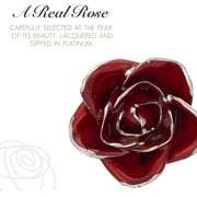 Forever Rose, a Genuine, One of a Kind, Real Red Rose, Hand Dipped in Lacquer and Platinum to Last a Lifetime
