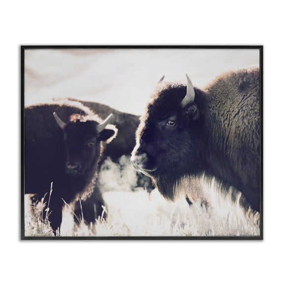 Stupell Industries Rustic Lodge Bison Gazing in Nature Black Framed Giclee Art, 14 x 11, by Sisi and Seb