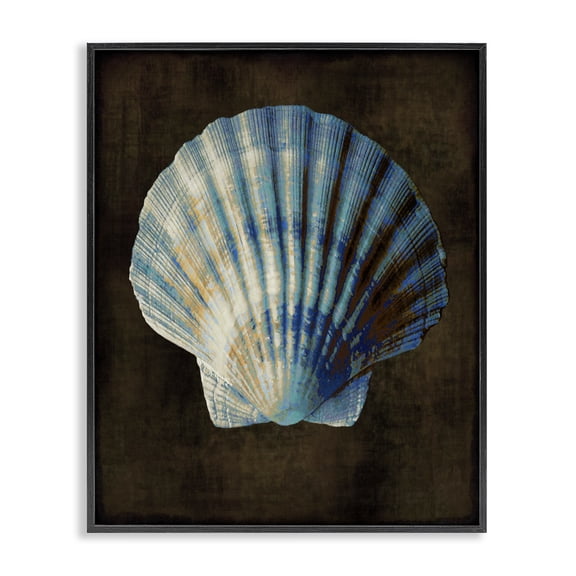 Stupell Industries Traditional Dark Clam Shell Black Framed Giclee Art, 16 x 20, by Caroline Kelly