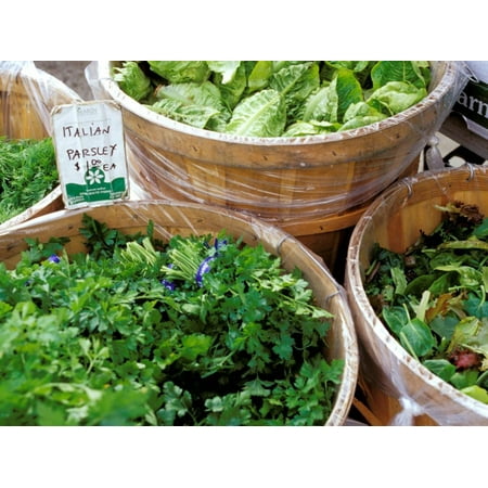 Herbs and Greens, Ferry Building Farmer's Market, San Francisco, California, USA Print Wall Art By Inger