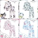 thumbnail image 2 of Pijama Kawaii Sanrioed Cinnamoroll para niños y niñas, ropa de dormir de manga larga, bonito Anime Kuromi Melody, regalo para el hogar, 2023, 2 of 4