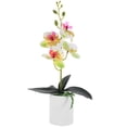 thumbnail image 1 of WORGEOUS Tapla de orquídeas de flor de flor artificial decoración de plantas en macetas artificiales, 1 of 7