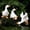 White, variant on Brown Bunny Garden Statue Set of 3 Indoor Outdoor Decor Figurines