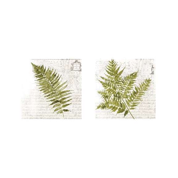 Great Art Now Fern by Asia Jensen 2 Piece Print Art Set Each 12"W x 12"H