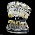 thumbnail image 4 of 14K Gold Plated Grillz Diamond-Cut Lower Bottom Teeth Four 4 Open Face Hip Hop Grills, 4 of 5
