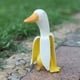 thumbnail image 3 of (Gran Envío Enviado El 4.24) Adorno Jardinería Creative Art Banana Duck Banana Yellow Duck (producto Resina El Rango Peso Fluctúa Entre 170 Y 250 G), 3 of 9