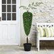 thumbnail image 4 of Bunny Boxwood Topiaries Easter Simulation Boxwood Leaf Potted Ornament en Maceta Negra para Entradas, Porches O Pantallas Interiores, 4 of 8