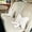 White, variant on Soft Furry Bow Throw Pillow Cushion for Sofa Bed and Living Room - Decorative Bowknot Lumbar Pillow for Home Décor with Soft Polyester Material