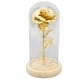 thumbnail image 1 of Regalos románticos de rosas encantadas, rosa en cúpula de cristal y rosa roja que iluminan la tecnología innovadora de la rosa eterna, 1 of 8