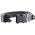 thumbnail image 6 of Mighty Paw Neoprene Padded Dog Collar, Sports Collar with Reflective Stitching, Extra Comfort for Active Dogs, 6 of 7
