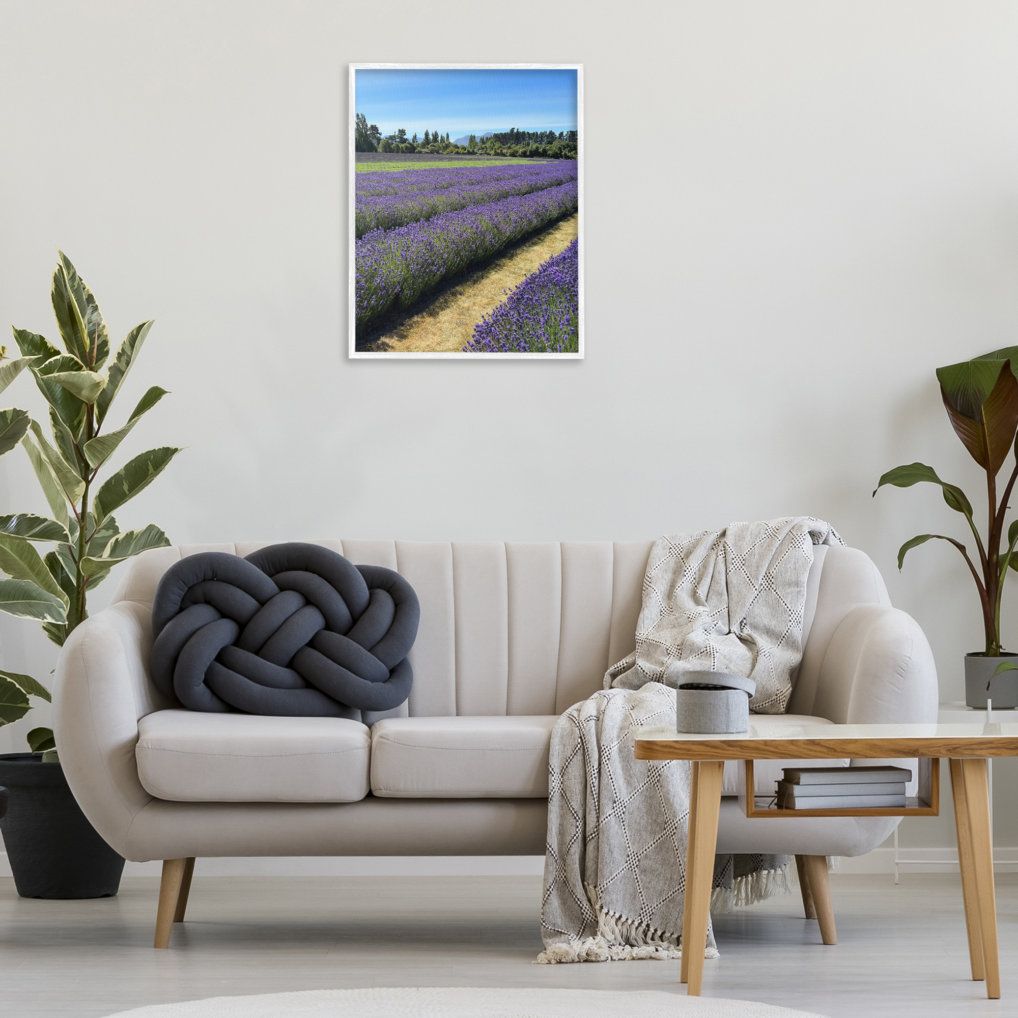 Stupell Industries Lavender Path Landscape Landscape Photography White Framed Art Print Wall Art, 24 x 30