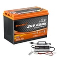 thumbnail image 1 of Batería Enjoybot de litio, 36 V, 65 Ah, autocalentable con cargador, 1 of 9