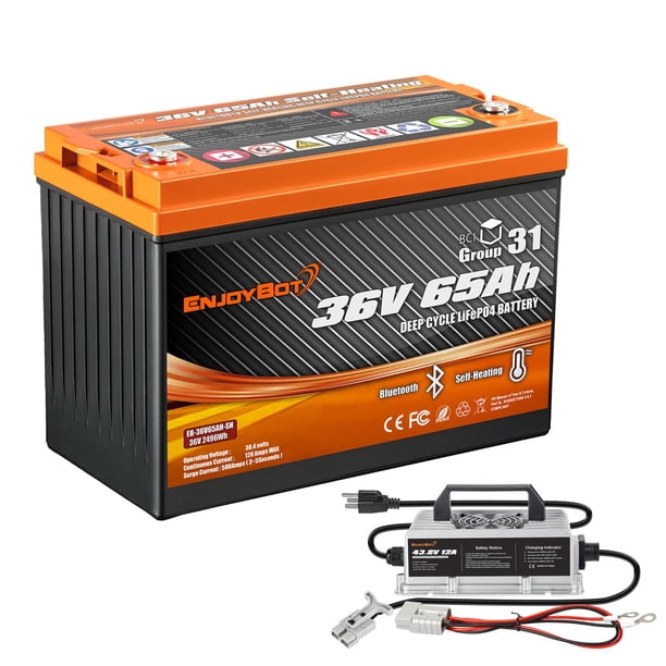 Batería Enjoybot de litio, 36 V, 65 Ah, autocalentable con cargador
