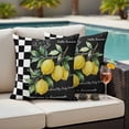 thumbnail image 4 of Hello Summer Lemons Outdoor Pillow Covers Pack of 2 Farmhouses Fruits Black White Checkered Waterproof Throw Pillow Covers Decorative Cushion Cases for Patio Garden Tent Balcony Couch 16x16 inch, 4 of 9