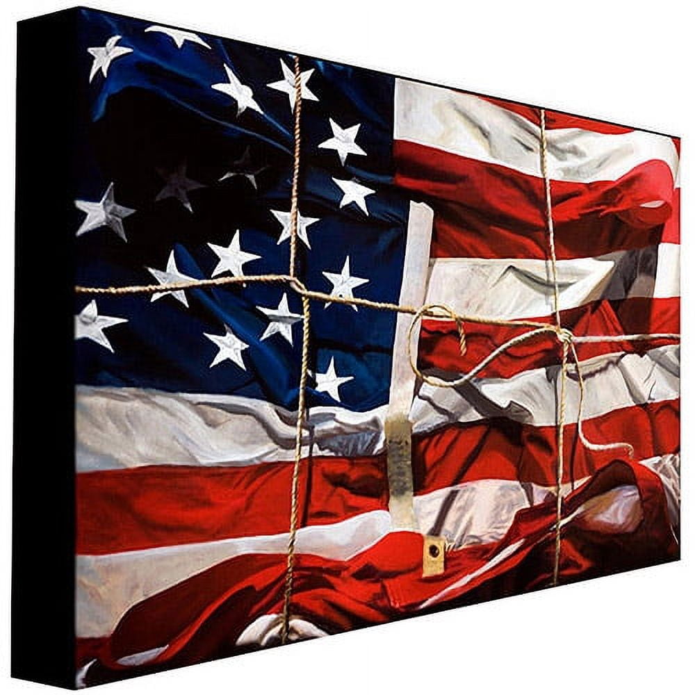 Trademark Art "American Wrap" Canvas Wall Art by Roderick Stevens