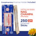 thumbnail image 2 of Paquete de soportes para varillas de incienso Raajsee con Satya Nagchampa, 250 g, 2 of 5