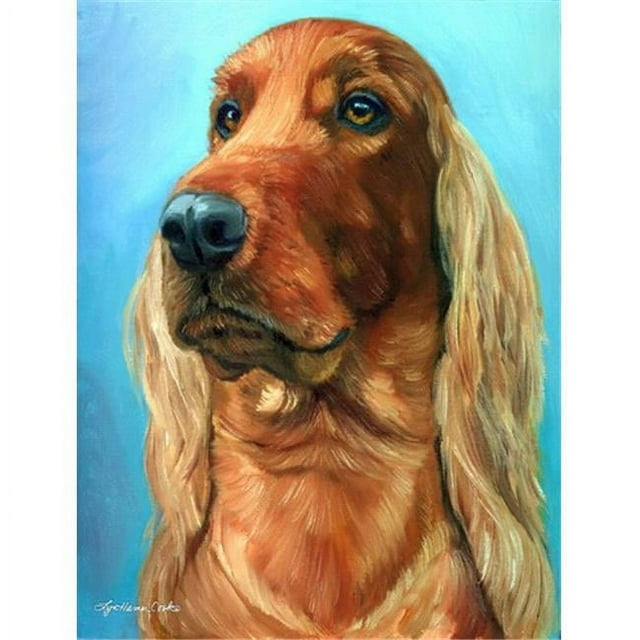 Carolines Treasures 7314CHF Irish Setter In Blue Flag Canvas House Size