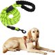 thumbnail image 1 of Correa de nailon para perros ajustable, resistente, reflectante, negra, de alta calidad, 150 cm, para perros grandes o medianos, adecuada para correr, trotar, senderismo (verde) esquí esquí Gafas de esquí, 1 of 5