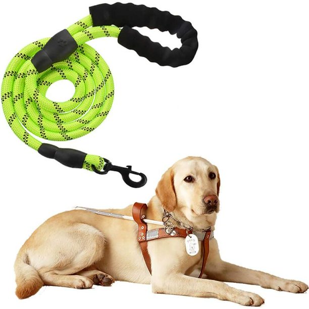 Correa de nailon para perros ajustable, resistente, reflectante, negra, de alta calidad, 150 cm, para perros grandes o medianos, adecuada para correr, trotar, senderismo (verde) esquí esquí Gafas de esquí