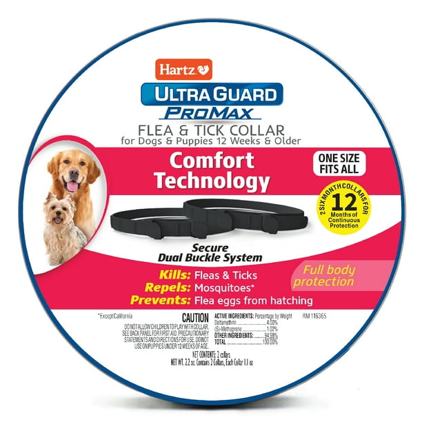 Can Flea And Tick Collars Make Dogs Sick