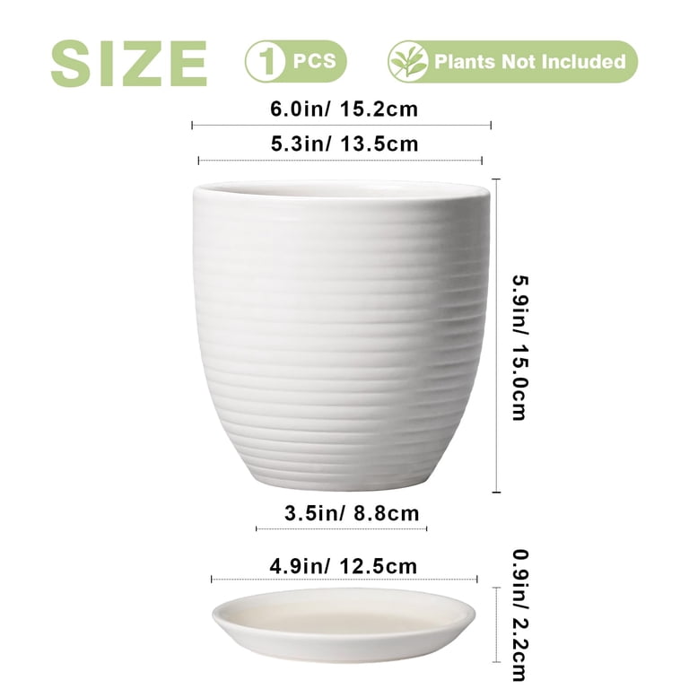Ceramic Planter with Saucer, 6-Inch White Pot photo 5