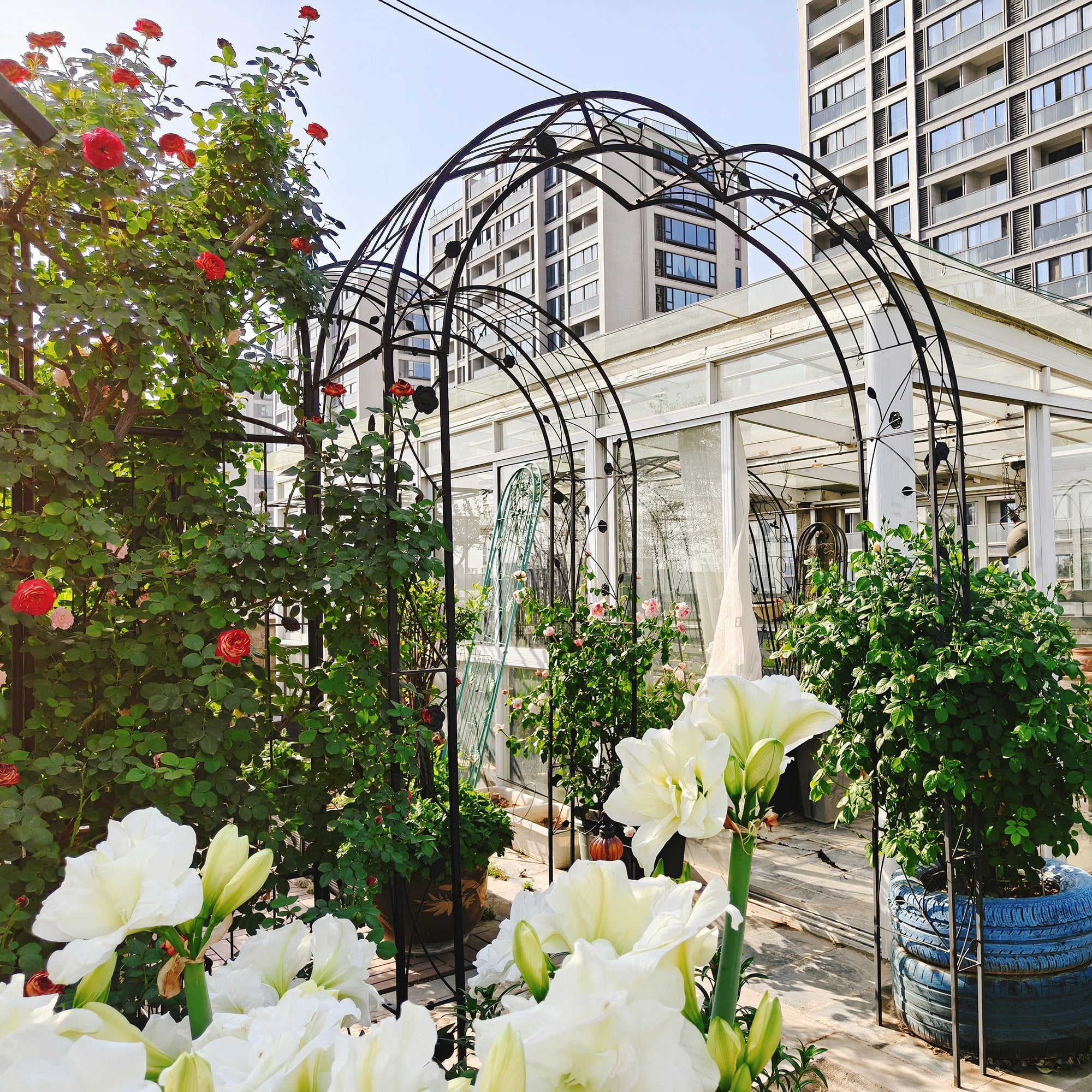 Garden Arch with 8 Styles Garden Arbor Trellis Climbing Plants Support Rose Arch Black