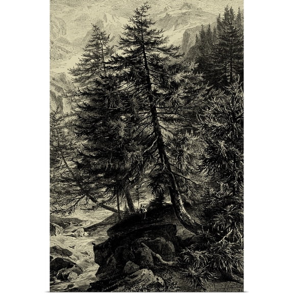 Great BIG Canvas | "Larch Tree" Art Print - 20x30