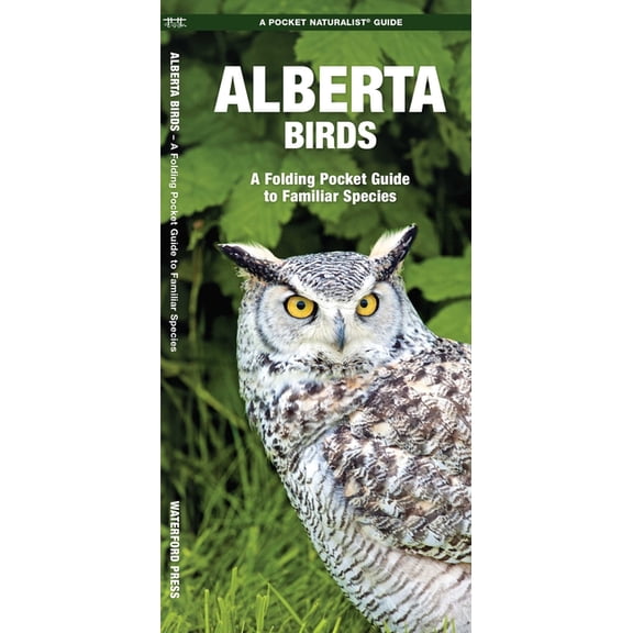 Nature Observation North America Alberta Birds, 2nd Ed, (Paperback)
