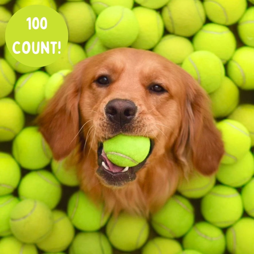 100 Tennis Balls Finished with the Courts, Now Ready for Your Dog’s Playtime: Support USA Tennis Ball Recycling NonProfit: Bulk 100 Tennis Balls for Dogs, Tennis Balls for Dogs Bulk,