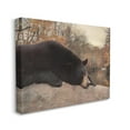 thumbnail image 3 of Stupell Resting Bear Autumn Foliage Lake Animals & Insects Photography Gallery Wrapped Canvas Print Wall Art, 3 of 5