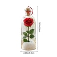 thumbnail image 5 of Clearance Recordable Christmas Tree Message in a Bottle, Voice Recording Holiday Keepsake with Playback,a sentimental Christmas Gift with Snowy Scene and Playback (Rose), 5 of 6